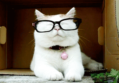 gif.gif gif.gif
